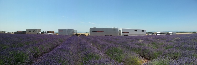 macadamcar-le-mal-de-pierres-haute-provence-puimoisson-unit-base (1)